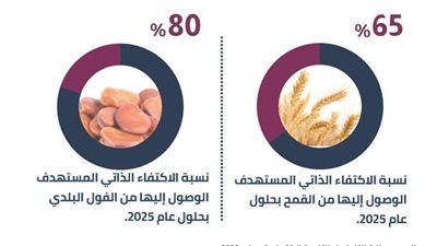 مستهدفات الحكومة المصرية للاكتفاء الذاتي من الحبوب بخطة عام 2022_2023 | إنفوجراف