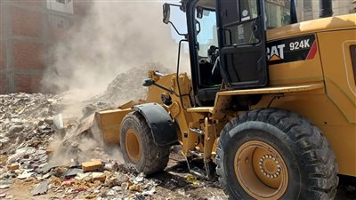 رفع 290 طن قمامة من الشوارع والميادين في الدقهلية | صور