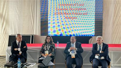 شعراوي يؤكد ضرورة تنوع قطاعات ومجالات الاقتصاد المحلي