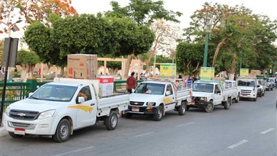 محافظ المنيا يسلم تجهيزات العرائس للفتيات في حفل زفاف جماعي