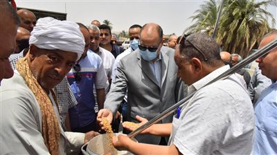 توريد 75 ألف طن قمح محلي في 30 مركز تجميع بأسيوط 