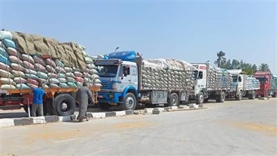 بنسبة 42% من المستهدف.. توريد 96 ألف طن قمح لصوامع وشون بني سويف
