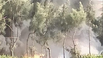 السيطرة على حريق بقطعة أرض بها مخلفات زيتية بالقليوبية 