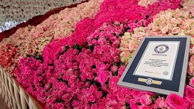 دخلت موسوعة 