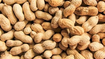 تفسير رؤية السوداني فى المنام وعلاقتها برفض العزباء للزواج 