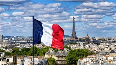 الفرنسيون بالخارج يدلون بأصواتهم في الانتخابات التشريعية 