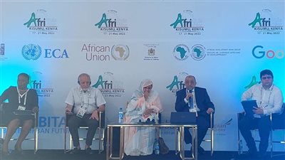 شعراوي: مصر تتبنى برنامج طموح لإنتاج الطاقة النظيفة من المصادر المتجددة