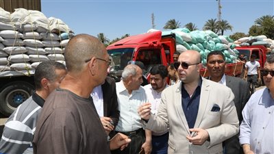 محافظ بني سويف يتفقد منظومة توريد واستلام القمح المحلي