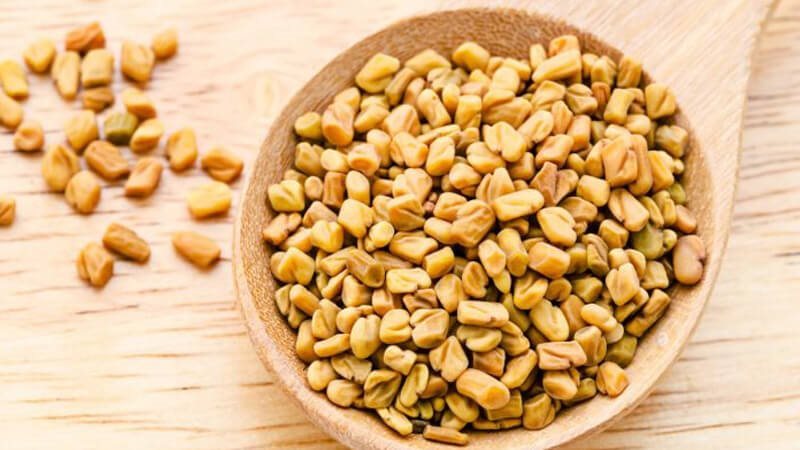 تفسير حلم الحلبه