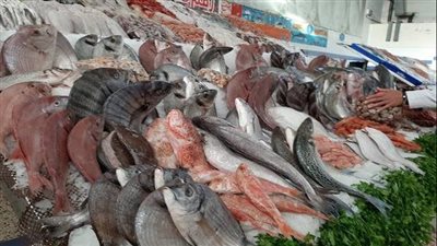 أسعار الأسماك اليوم الجمعة 20-5-2022 في القليوبية