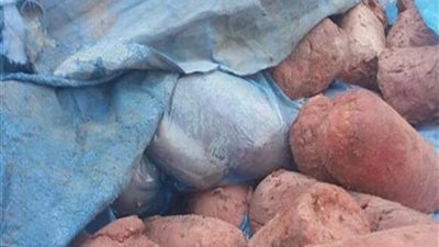 شاهد.. ضبط 100 كيلو لانشون منتهية الصلاحية بحدائق الأهرام 