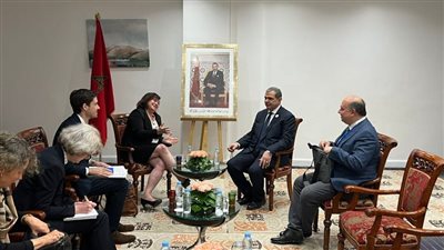  سعفان يلتقي مسئولا اقتصاديا ألمانيا لبحث تأهيل الشباب لسوق العمل 