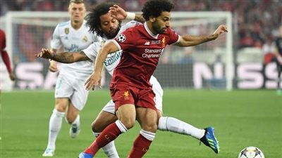 سلحفاة تتوقع فوز ليفربول على ريال مدريد بنهائي دوري أبطال أوروبا