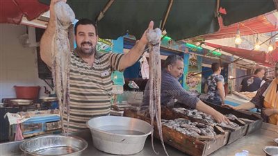 موسم الشبار المبطرخ والسردين في بورسعيد.. تعرف على أسعار أشهر أسماك الموسم | فيديو