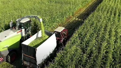 بالأرقام.. زراعات مشروع مستقبل مصر موسم 2020-2021