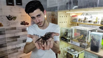 أدهم غاوي عقارب وعناكب.. أغرب وأخطر هواية لشاب في البحيرة | فيديو