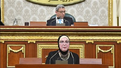 تفاصيل مواجهة مجلس النواب مع وزيرة الصناعة.. الأحد 
