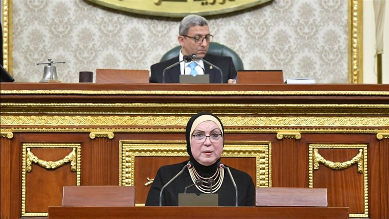 نيفين جامع وزيرة