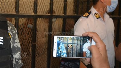 4 صور ترصد مصطفى البنك مستريح أسوان داخل قفص الاتهام بمحكمة قنا الاقتصادية