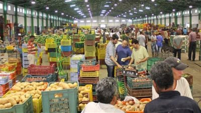 نائب يطالب بالتوسع في إقامة أسواق التجزئة ونصف الجملة 