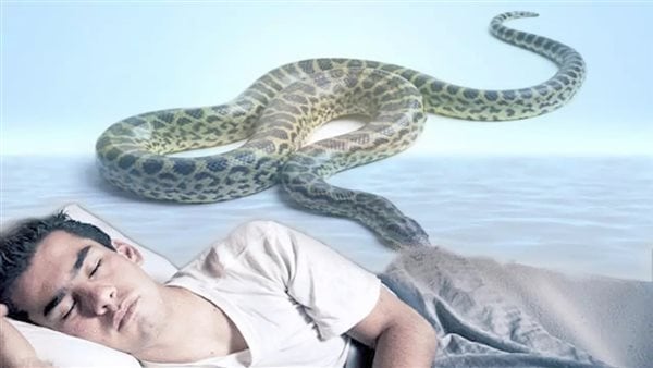 Толкување на гледање каснување од змија во сон и нејзината врска со добивањето многу пари