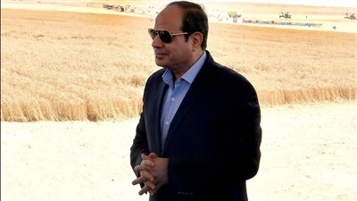  كل ما تريد معرفته عن استراتيجية ومحاور تحقيق الأمن الغذائي