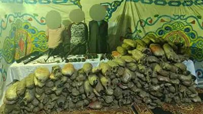 حبس تشكيل عصابي ضبط بحوزته نصف طن بانجو وأسلحة نارية بالدقهلية