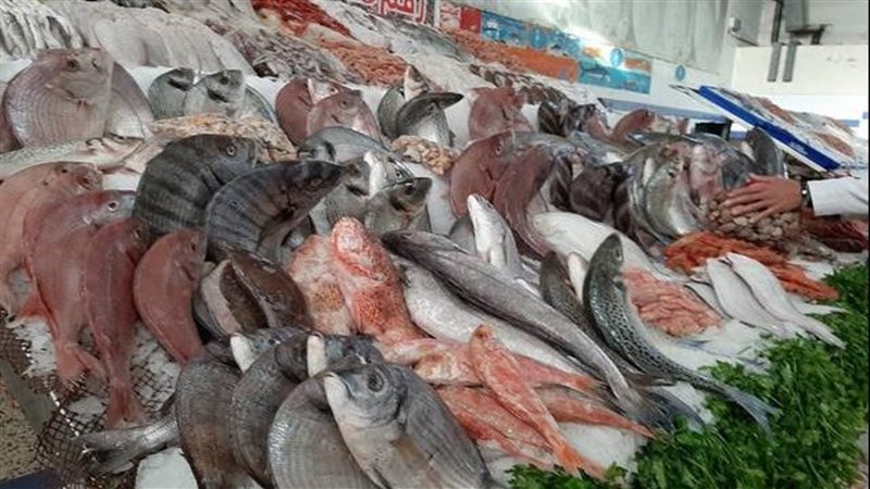 أسعار الأسماك اليوم