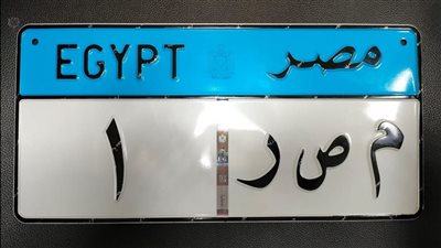 عمر بـ 95 ألفا وبدر بـ 125 ألف جنيه.. لوحات مميزة تدخل المنافسة 