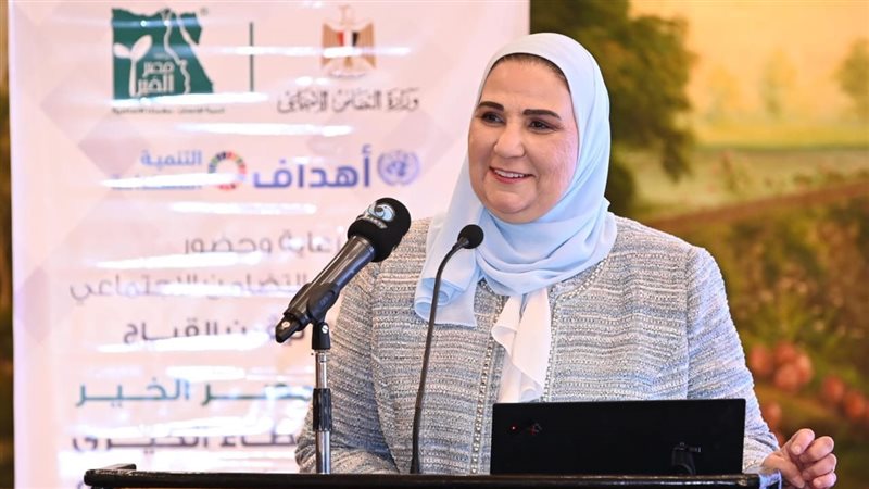  نيفين القباج، وزيرة