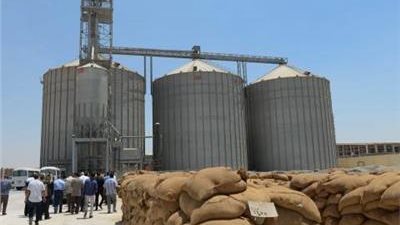 لتقليل فاتورة الاستيراد.. طلب إحاطة بشأن خطة التوسع في زراعة المحاصيل الاستراتيجية