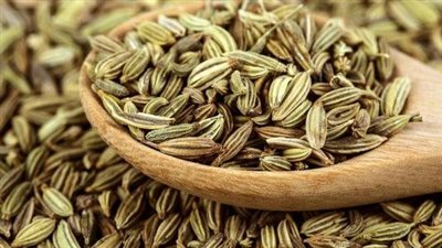 فوائد الشمر للصحة.. أبرزها تعزيز المناعة وحل مشاكل الجهاز الهضمي