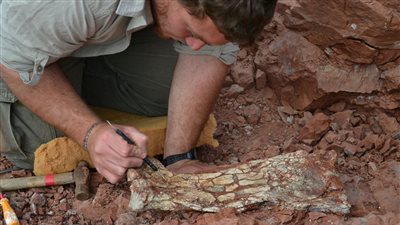 جسمه بطول حافلة مدرسية.. علماء أرجنتينيون يعثرون على تنين الموت | صور