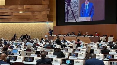 عبدالغفار: مصر ملتزمة بالتعاون مع دول العالم لتحقيق مبدأ 