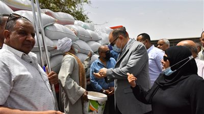  توريد 116 ألف طن قمح لـ 30 شونة وهنجر بأسيوط