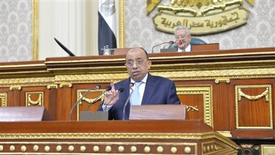 وزير التنمية المحلية أمام البرلمان: رفع 51 مليون طن قمامة يومية.. و30 شركة خاصة ترغب بإدارة المصانع والمدافن الصحية