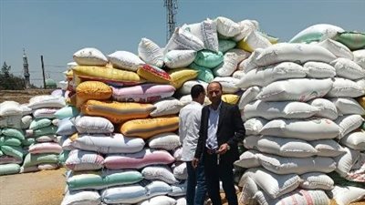 محافظ الشرقية: 548 ألف طن قمح حصيلة التوريد بالشرقية