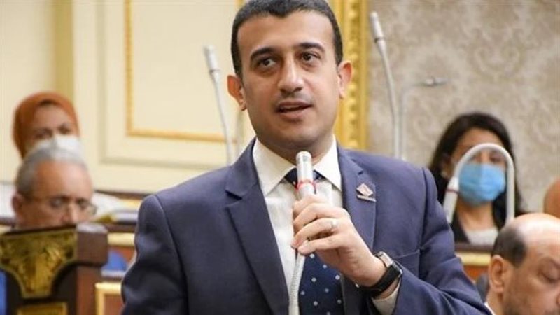 النائب طارق الخولى