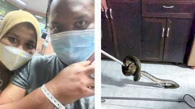 حالة من الذعر.. ثعبان يفاجئ ماليزي بالحمام