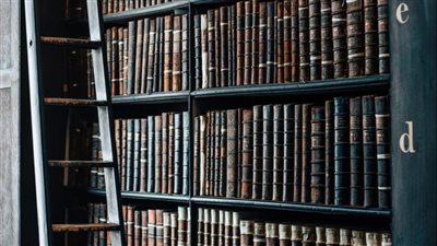 الجهات المختصة بإصدار الفتوى الشرعية وفقا للقانون