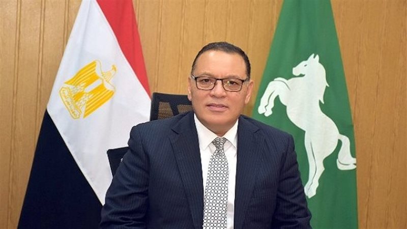 محافظ الشرقية