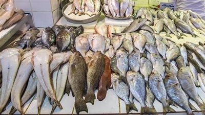 أسعار الأسماك اليوم 10-8-2022 في شمال سيناء