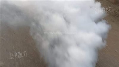 حملة لمكافحة الناموس في السنطة بالغربية | صور