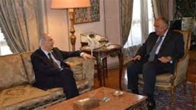 وزير الخارجية يستقبل نظيره القبرصى في القاهرة 
