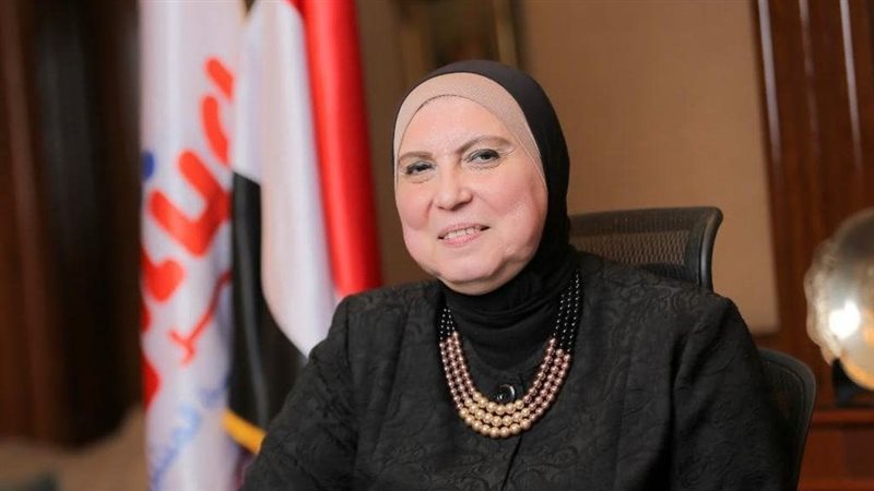 نيفين جامع، وزيرة