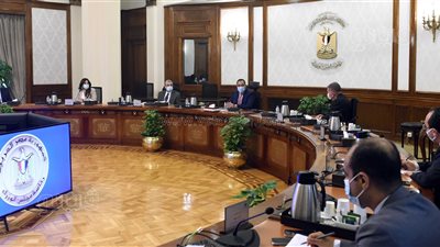 رئيس الوزراء يستعرض نتائج دراسة تطوير مجمع الألومنيوم بنجع حمادي