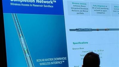 إيمرسون تخطط لإنشاء شركة قابضة بمصر 