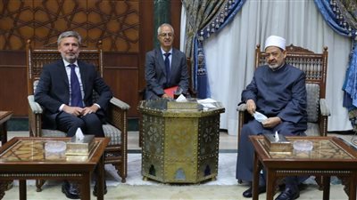 شيخ الأزهر: تفاقم الأزمات البيئية سببه غياب القرارات الملزمة من المجتمع الدولي 