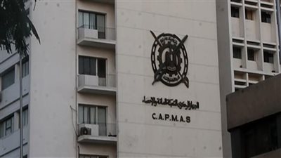 الإحصاء: 45.4% ارتفاعًا في قيمة الصادرات المصرية للإمارات خلال أول شهرين من العام 