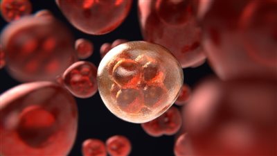 قاتل السرطان.. تجربة أول علاج يقضى على الورم الخبيث 